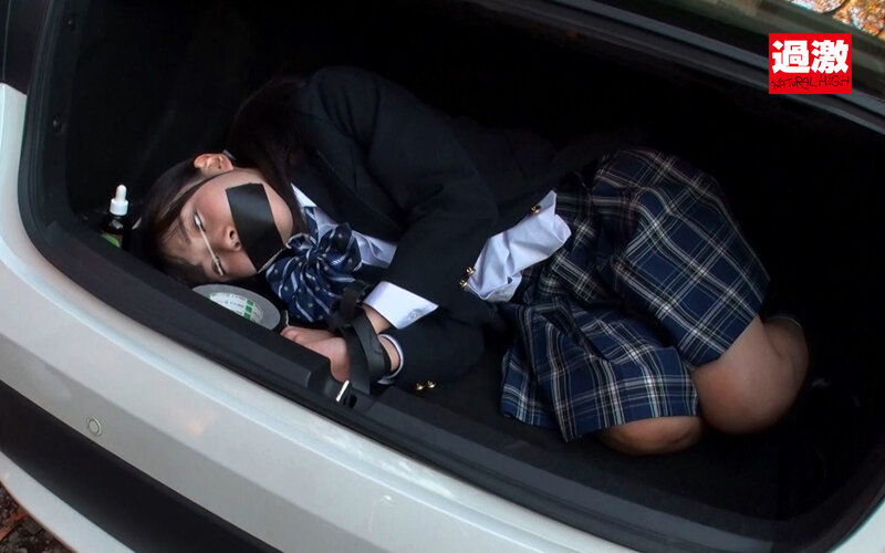 「下校少女連れ去り監禁ガンギマリ肉便器」のサンプル画像9枚目